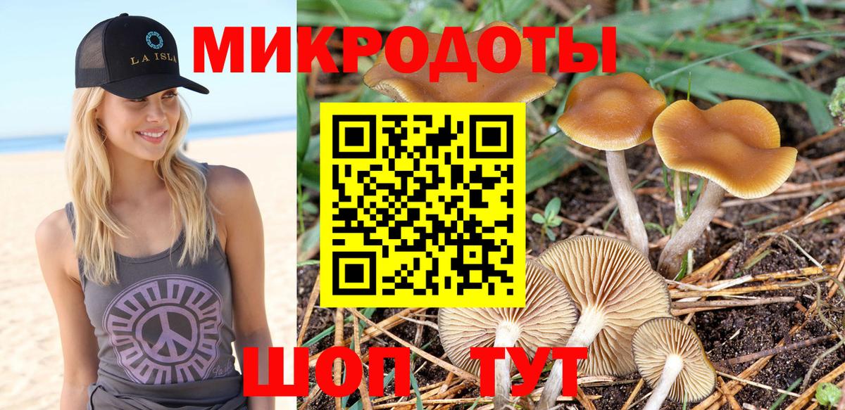 Галлюциногенные грибы ЛСД Гусев