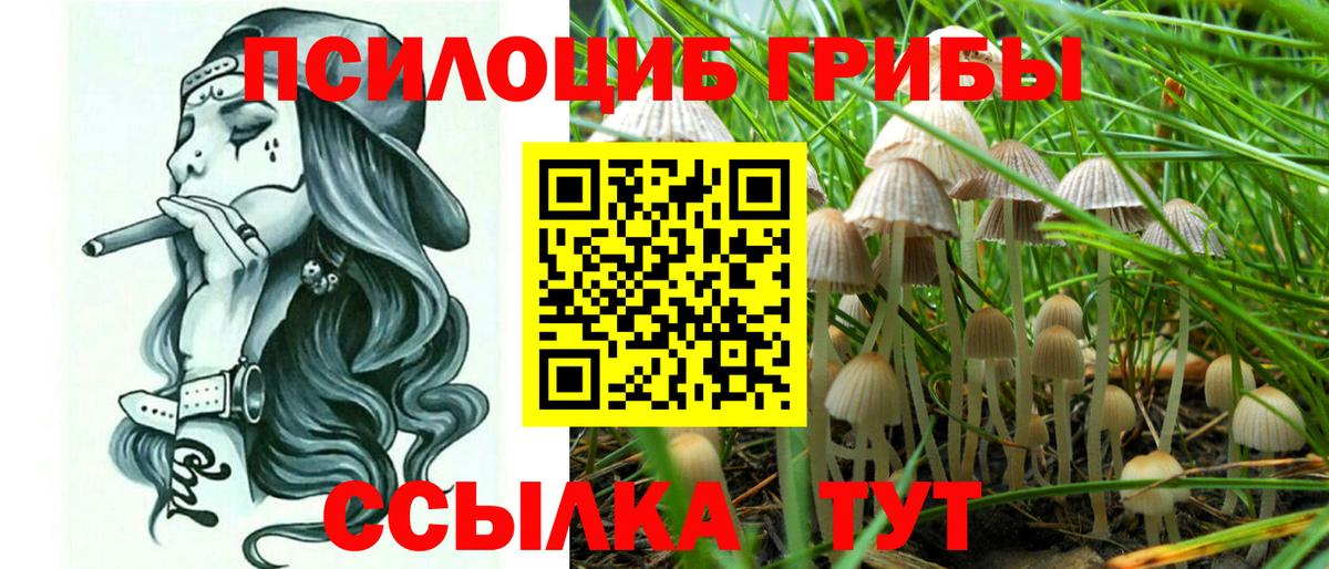 Гусев  Псилоцибиновые грибы MAGIC MUSHROOMS  Псилоцибиновые грибы MAGIC MUSHROOMS  Вход с VPN 